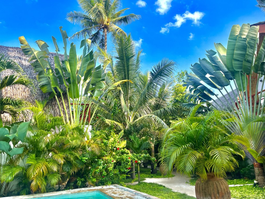 The Siargao Curse: Review Surf, Sunsets, and Island&nbsp;Adventures